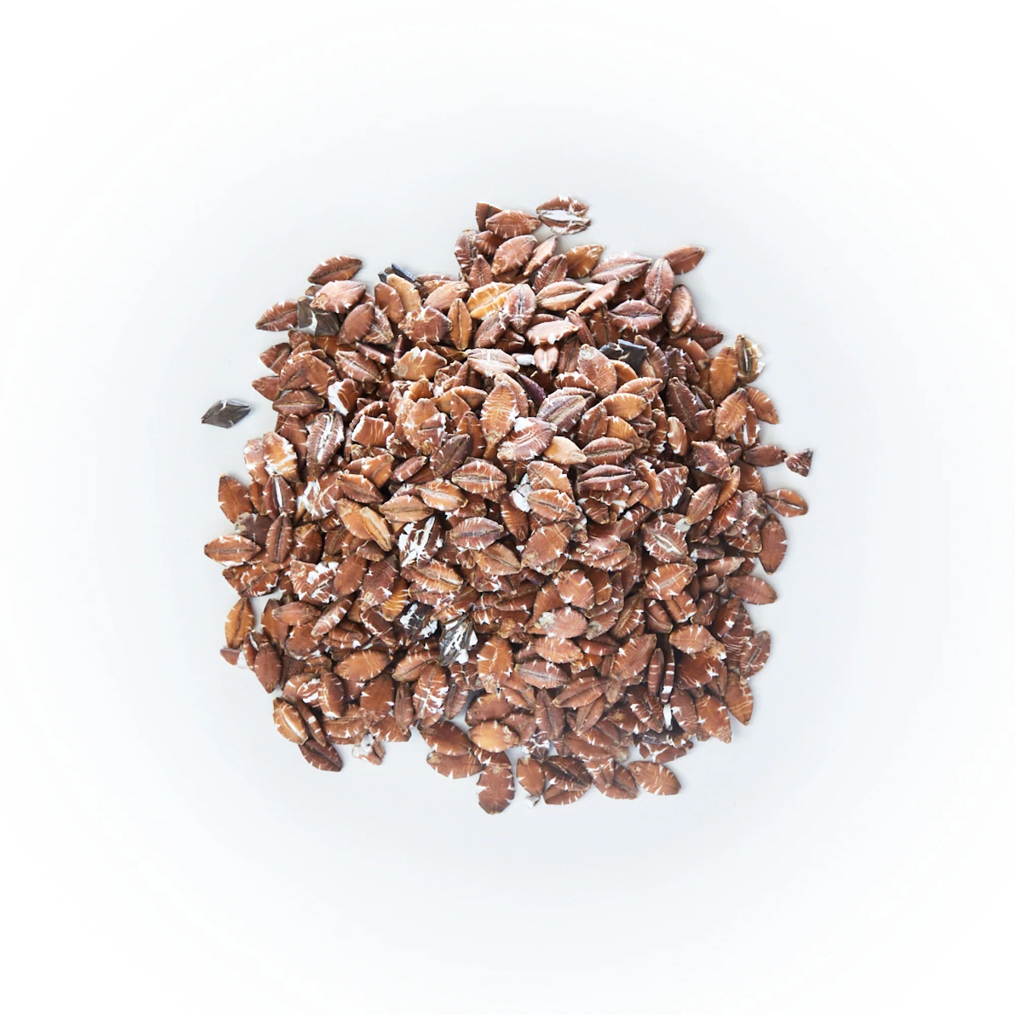 British Flaked Black Barley