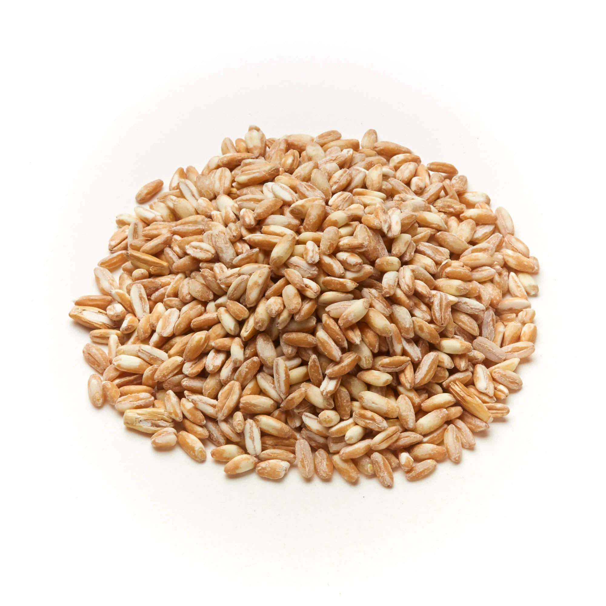British Pearled Spelt Wheat (Farro Grande)