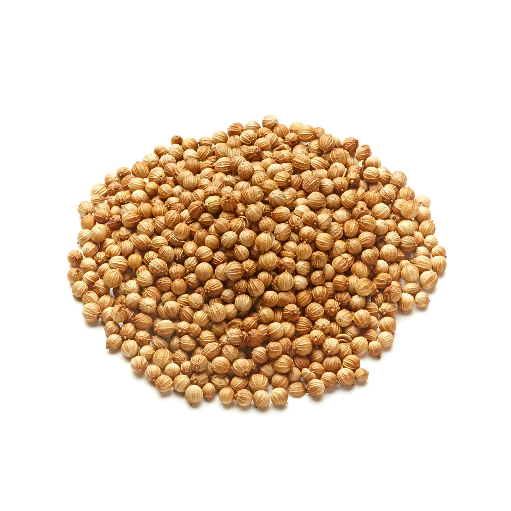 Coriander Seeds