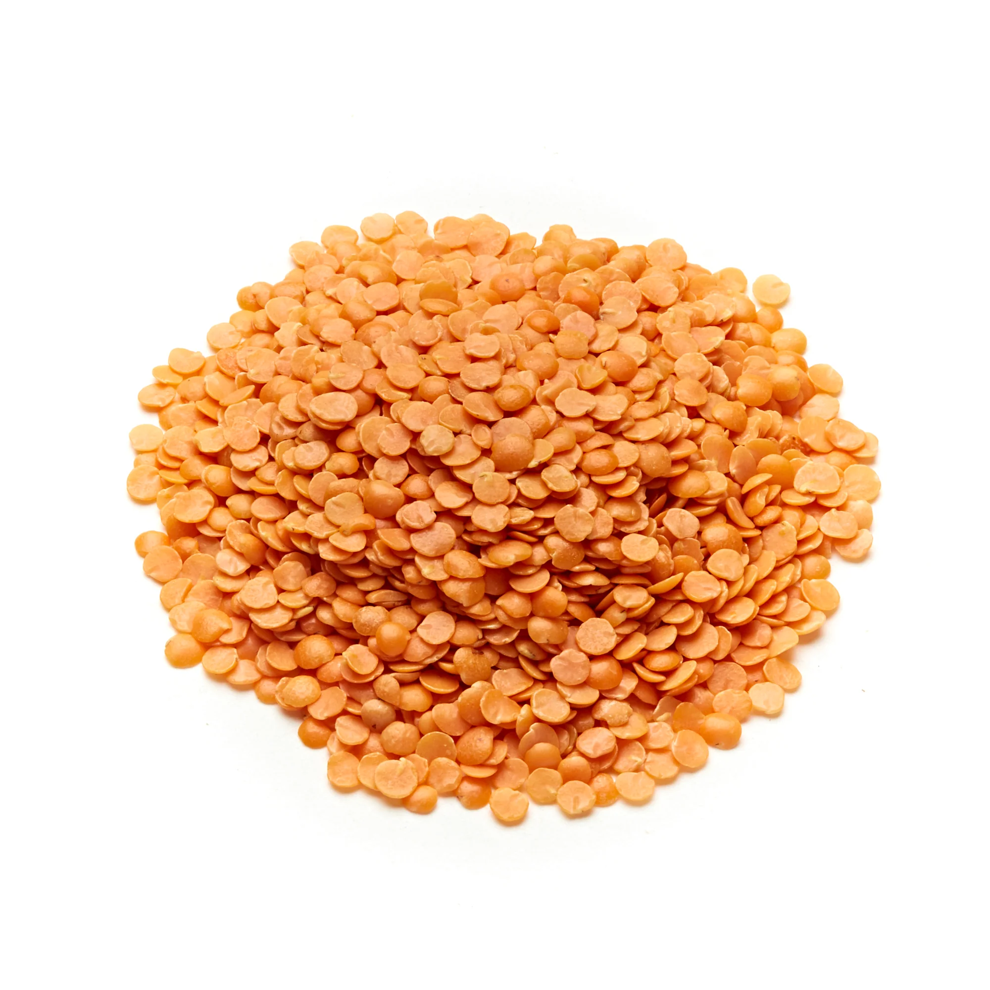 Dhal - Masoor