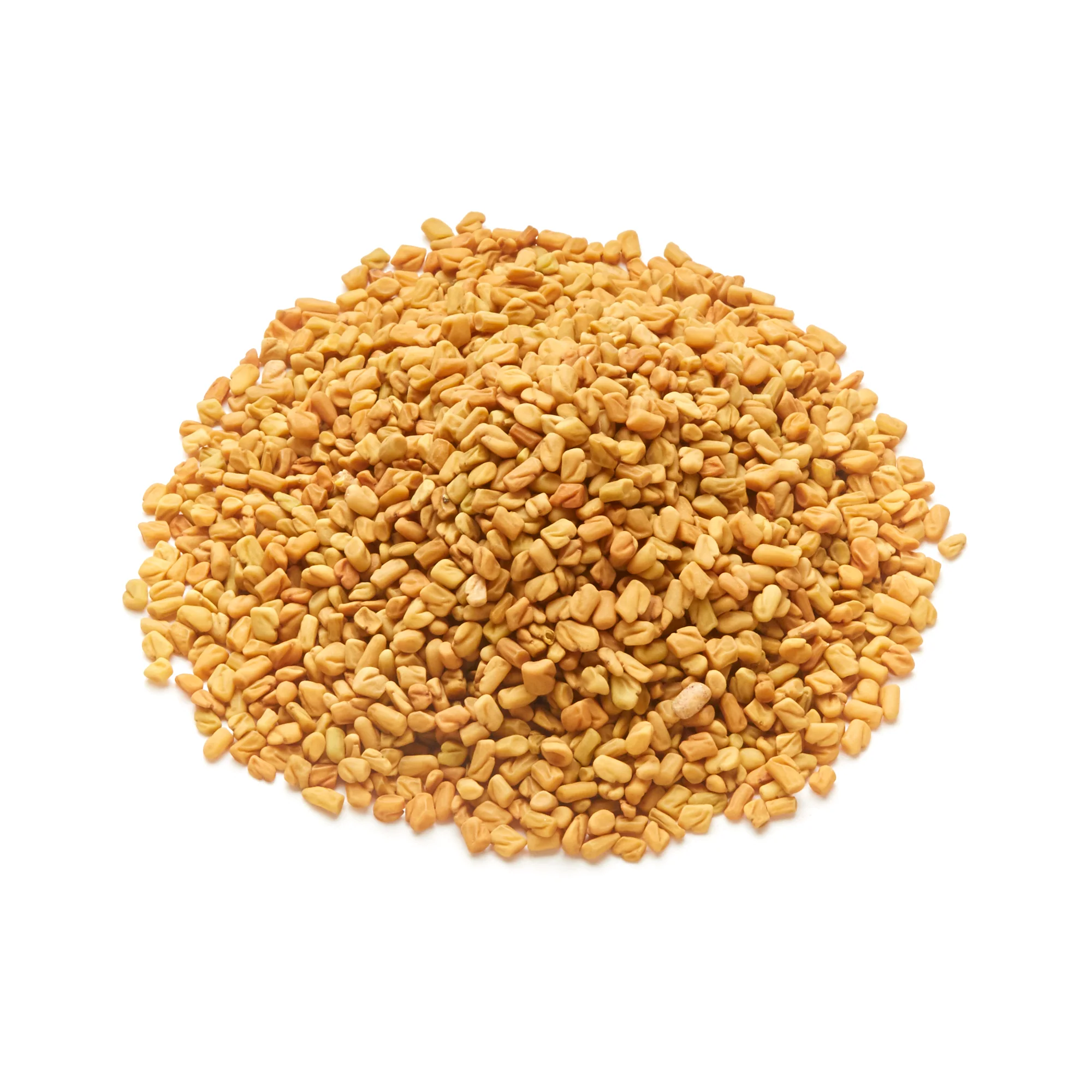 Fenugreek - Seed