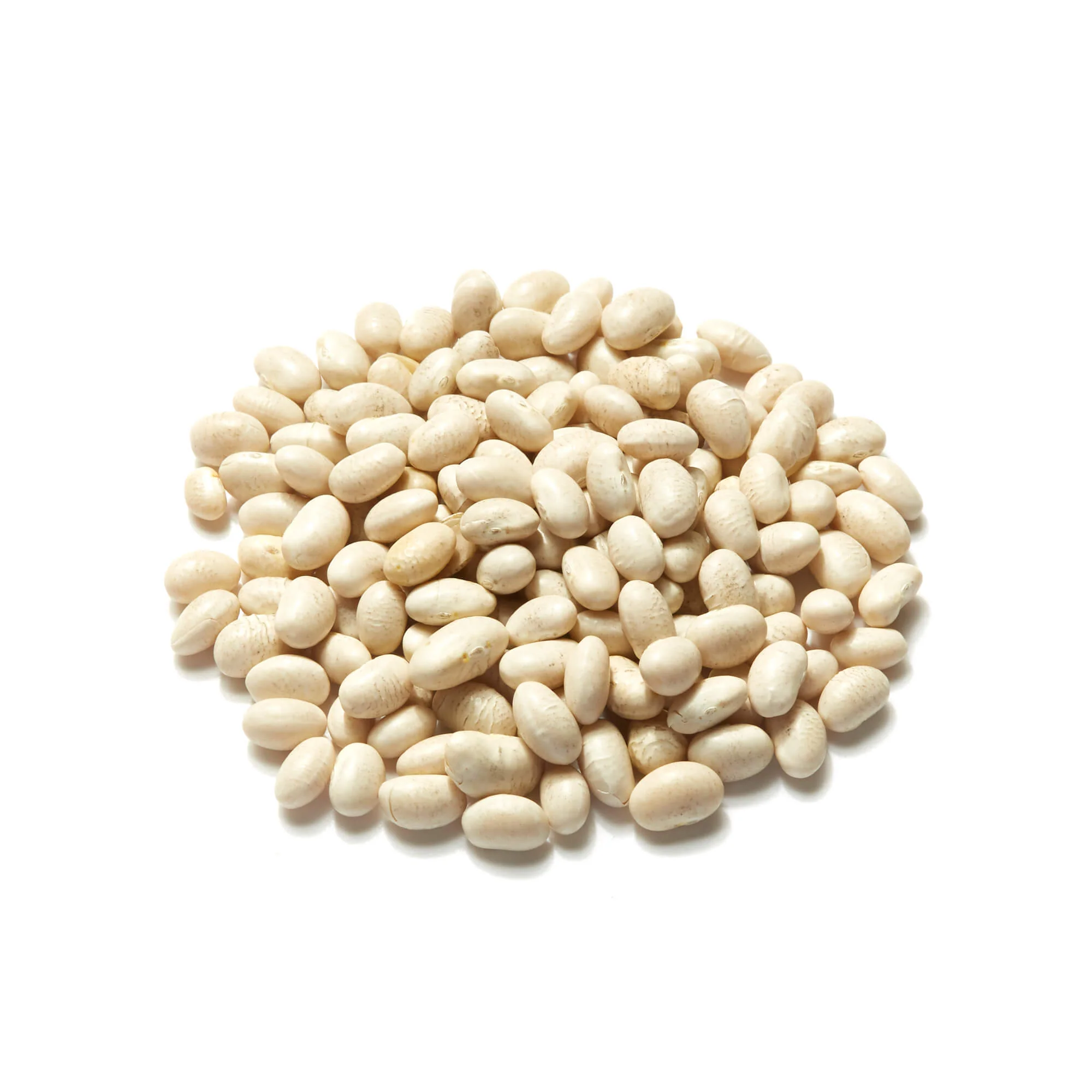 Haricot Beans