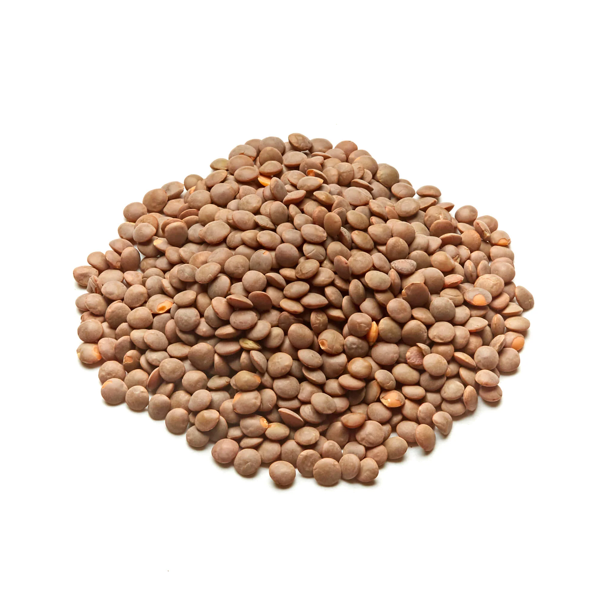 Lentils - Brown