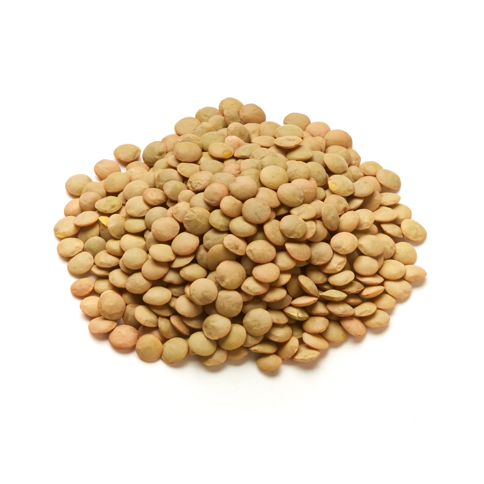 Lentils - Green