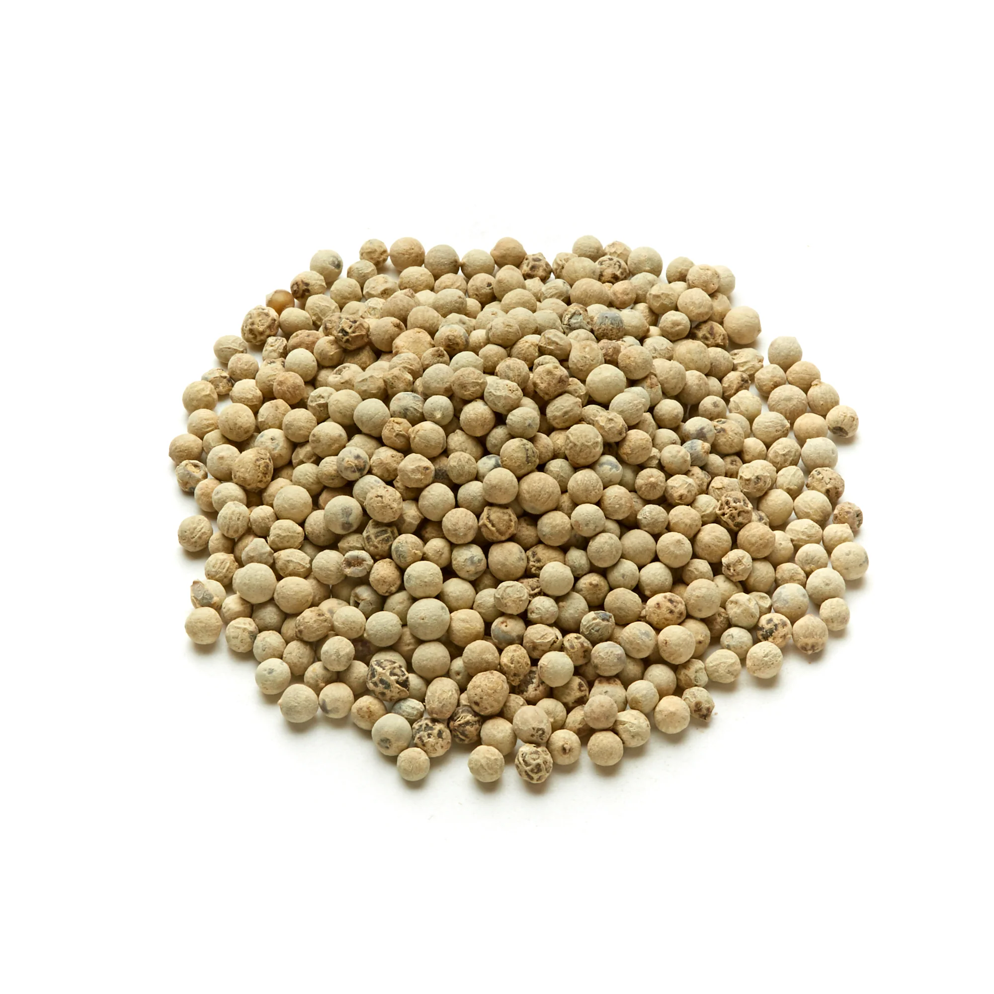 Pepper - Green Whole - Image 2