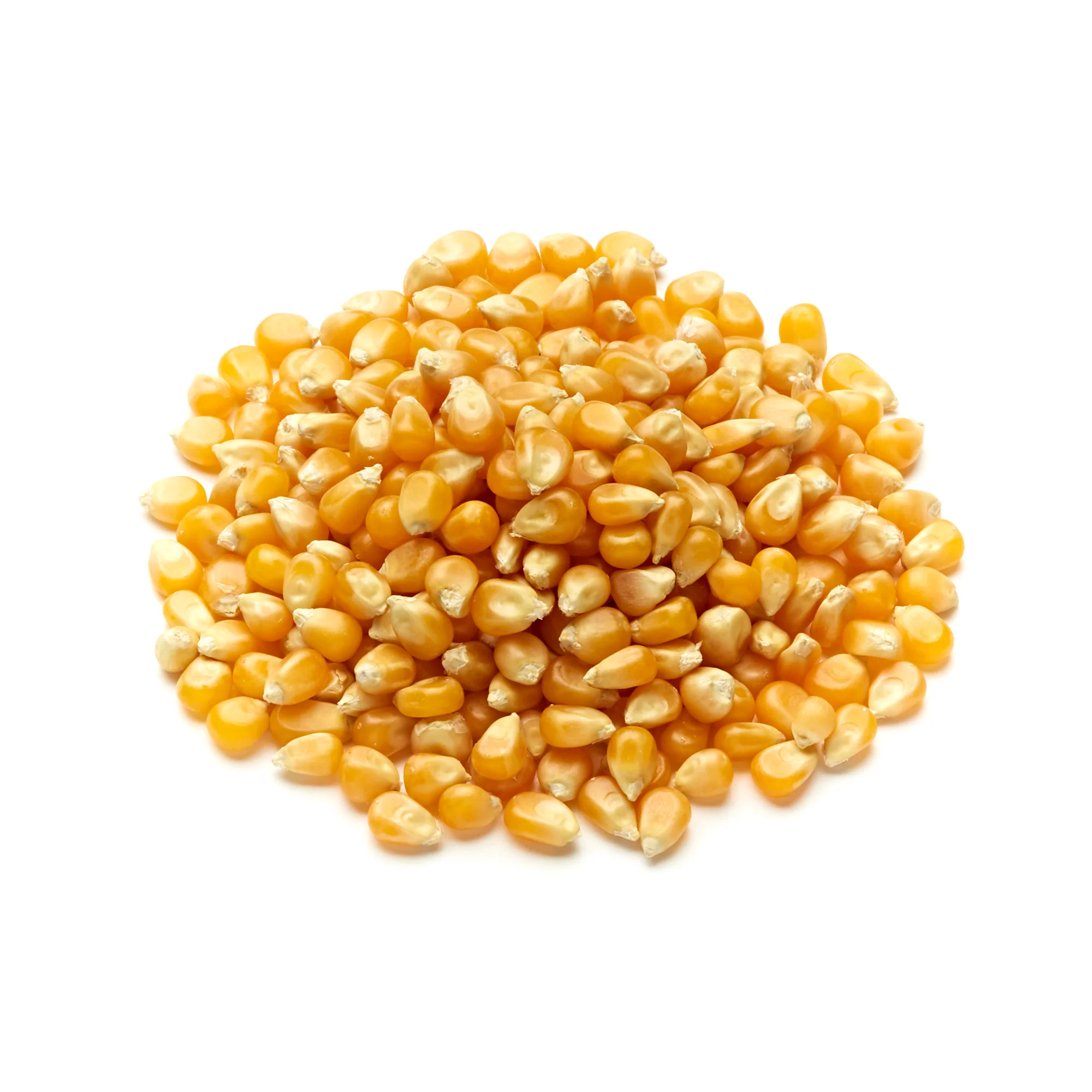 Popcorn Kernels