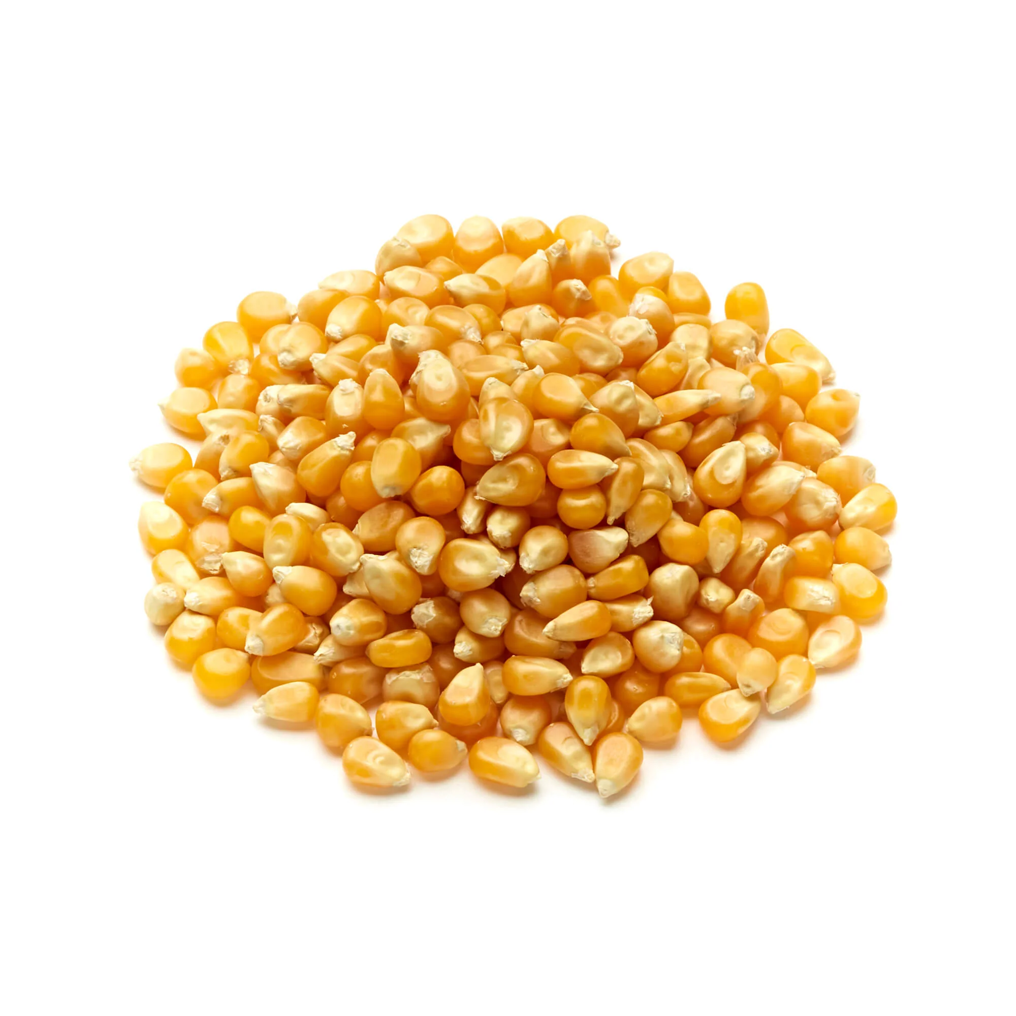 Popcorn Kernels