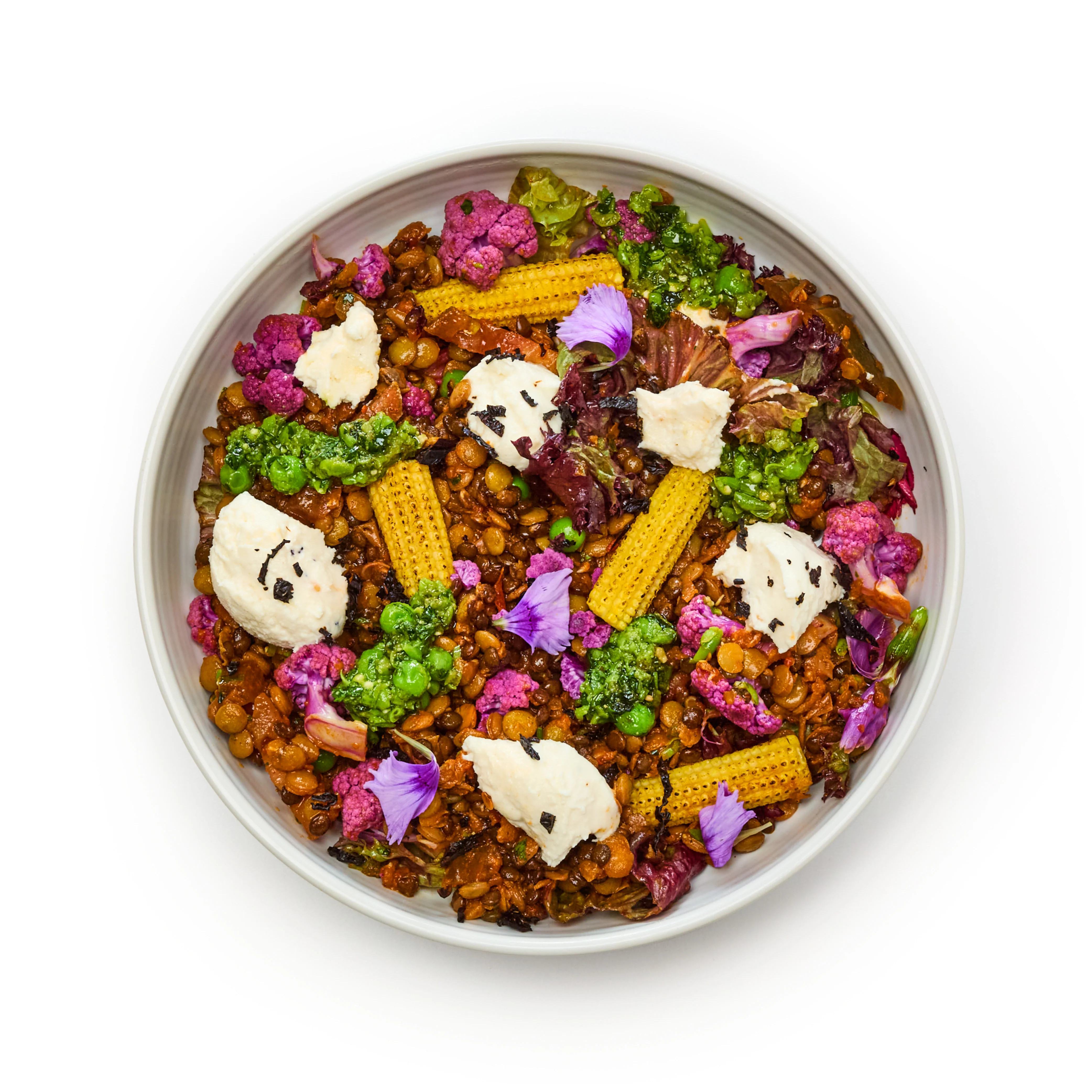 Pre-Cooked Spiced tomato Pulses