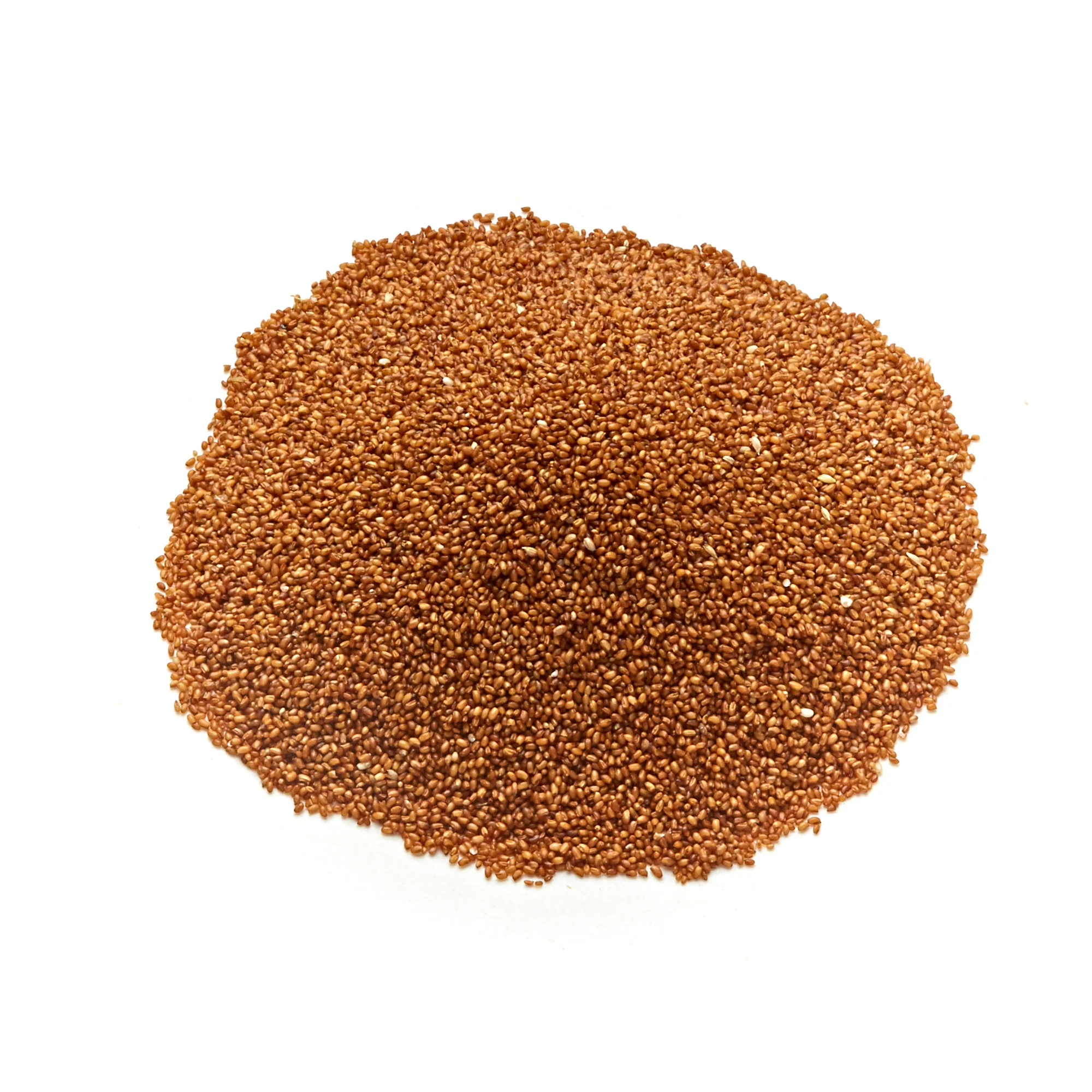Teff Grain